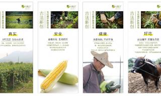 平面设计线下培训班